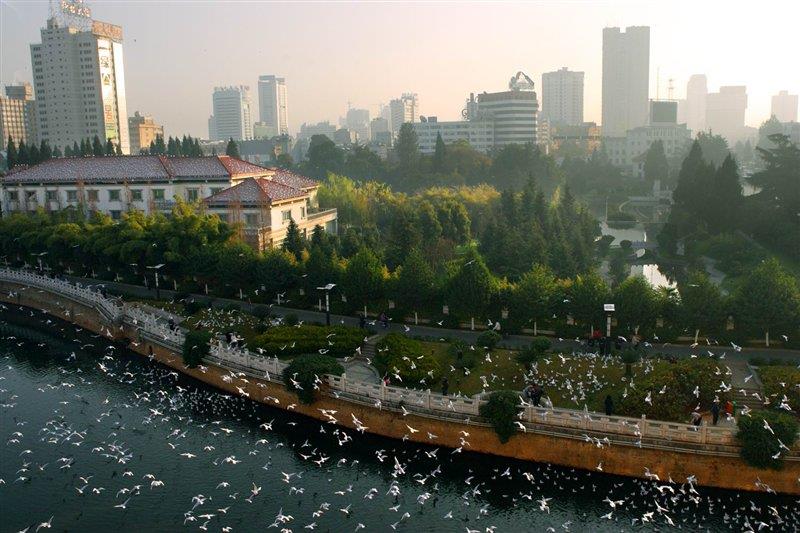 母親河盤龍江 http://m.028cx.com/